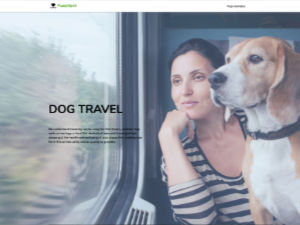 dog-travel