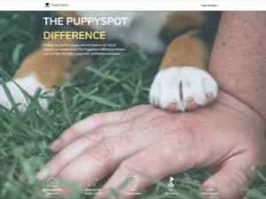 puppyspot-difference